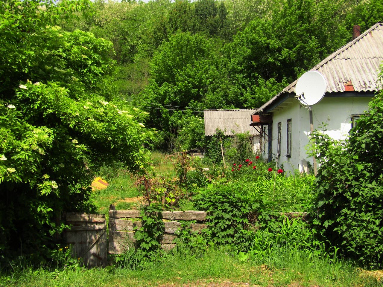 Село на Черкащині