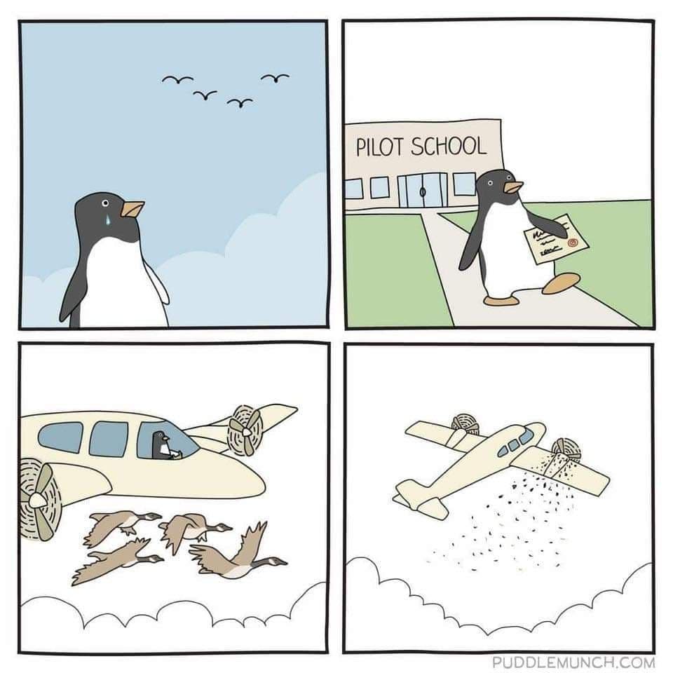 Pilot school