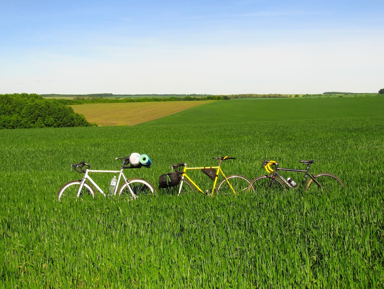 Велосипеди в траві