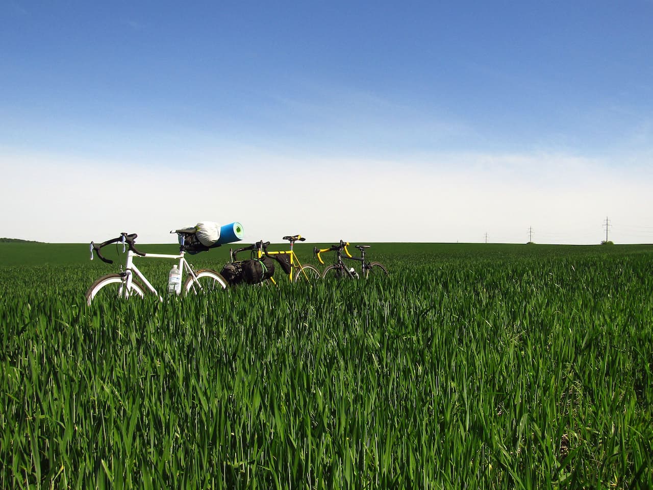Велосипеди в траві