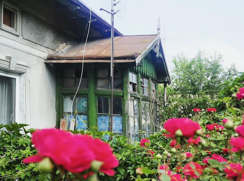 Барвистий квітник перед будинком